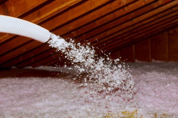Best Insulation Installation Services in Williamsburg, VA