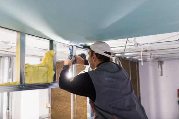 Best Residential Insulation in Williamsburg, VA