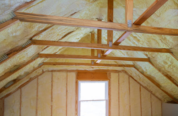 Best Insulation Maintenance and Repair in Williamsburg, VA
